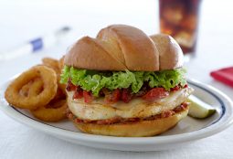 Chicken Burger - Cuisine Photo